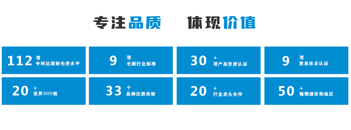 毛刷條廠家-加工定制生產公司傲群